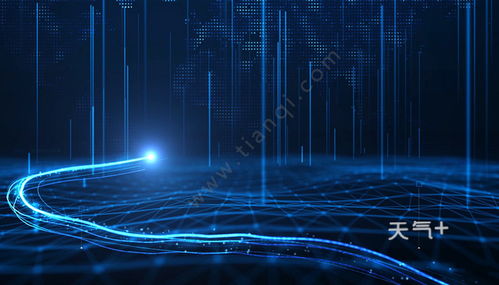 電子商務(wù)的專業(yè)類別與行業(yè)歸屬探究